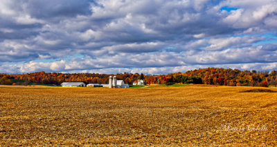 Amish Farm in Autumn 2734.jpg
