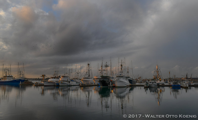 Tuna Harbor Sunrise