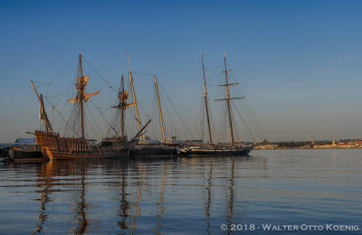 g10/19/637819/3/167392368.A08H9iN8.jpg