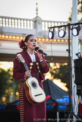 Mariachi Singer