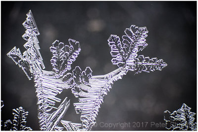 Micro fractal ice 2.