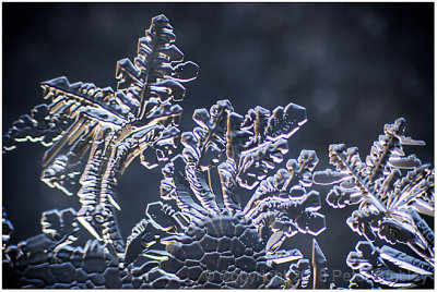 Micro fractal ice 3.