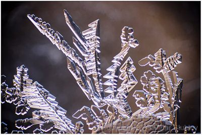 Micro fractal ice 5.