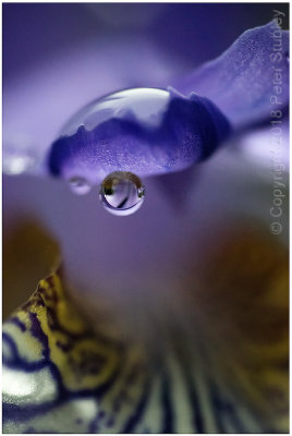 The incredible, amazing water droplet