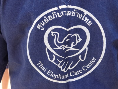 11-Elephant Rescue