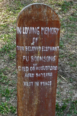 11-Thai Elephant Care Center gravestone
