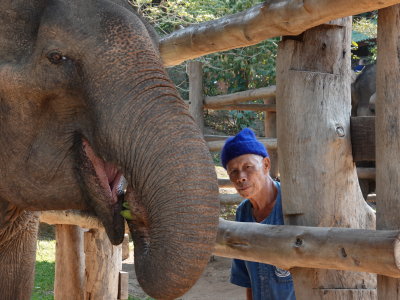 11-Mahout and his elephant