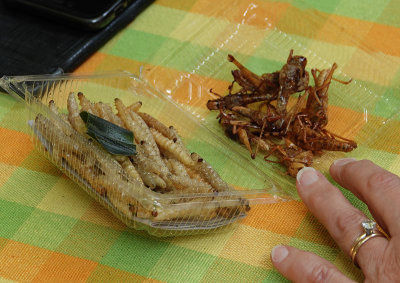 13-Fried crickets and worms