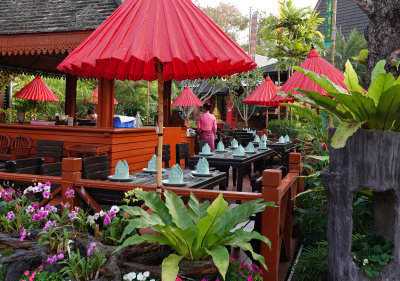 13-Chiang Mai restaurant