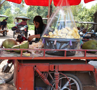 16-Jack fruit cart/vendor