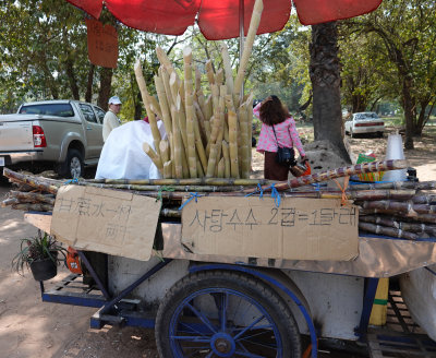 16-Sugar Cane cart/vendor