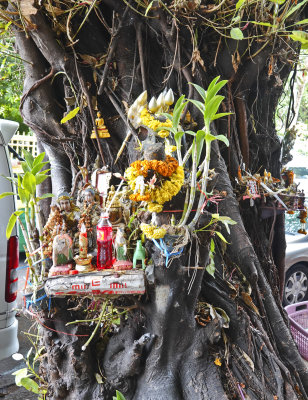 3-Bangkok Tree Shrine
