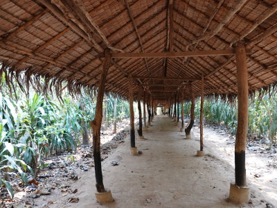 6-Mon Village Bamboo Walkway
