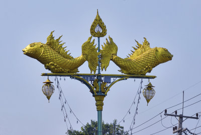7-Kanchanaburi - golden fish on light poles