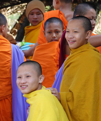 9-Doi Tung Royal Villa and Gardens/Young Monks