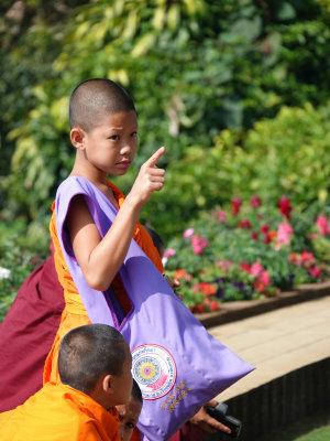 9-Doi Tung Royal Villa and Gardens/Little Monk