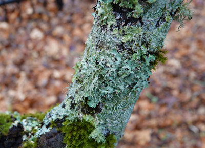 077_DSC08933.JPG