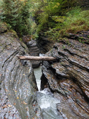 DSC08160.JPG