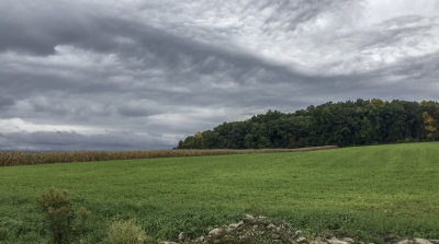 DSC08259-2-2018-10-14.jpg