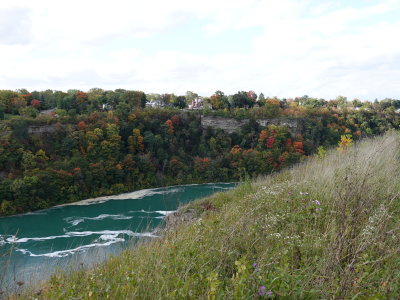 DSC08504.JPG