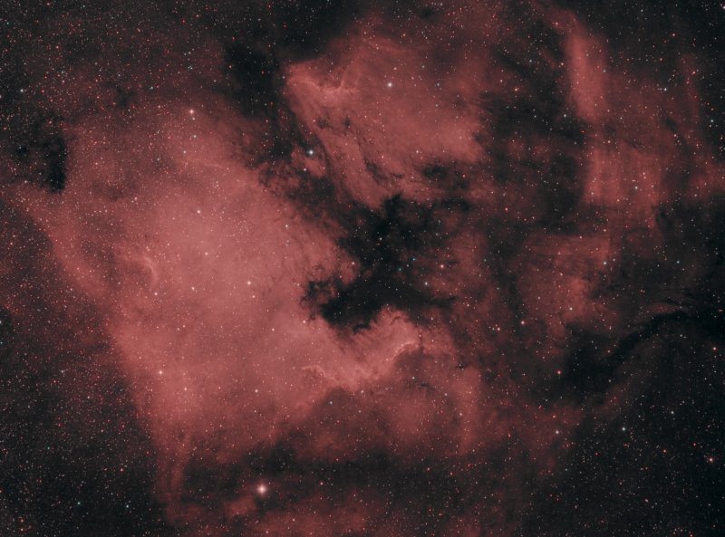 The North America nebula (NGC 7000)