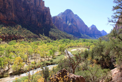 IMG_1193.jpg Zion National Park