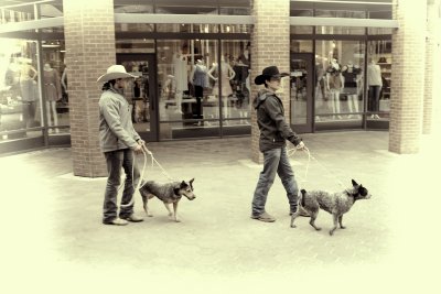 Urban Cowboys