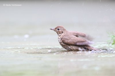 g10/20/1153920/3/167866272.E0gQXRYB.jpg