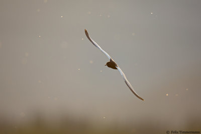 g10/20/1202120/3/165478496.zf96qUo6.jpg