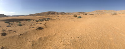DPP_1655.JPG