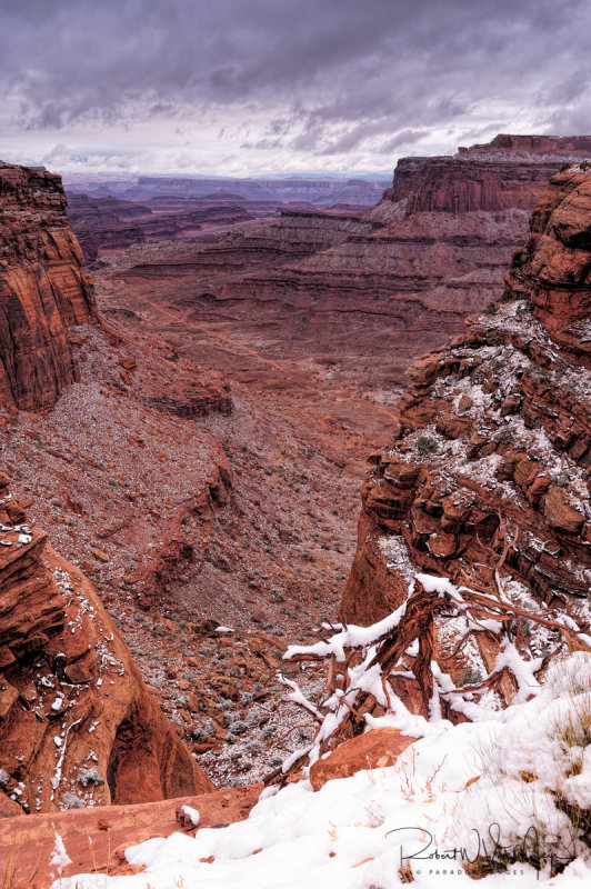 Snow from the top of the Shaffer Trail