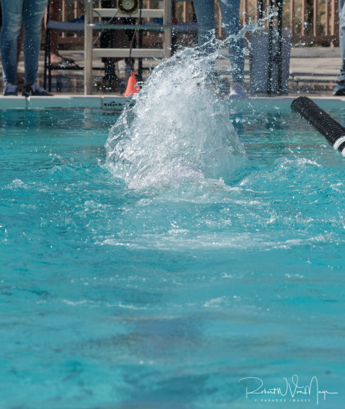 2018203-Sahuarita Swim Meet-0876.jpg