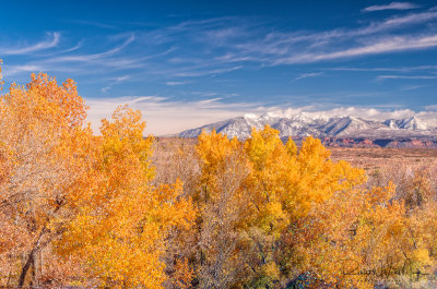 Fall Color in Arches National Park