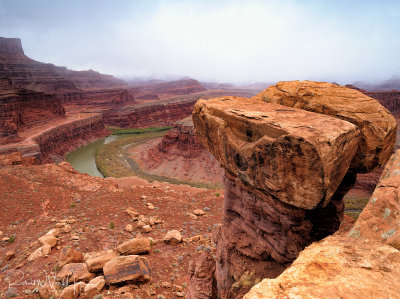Along the Shaffer Trail