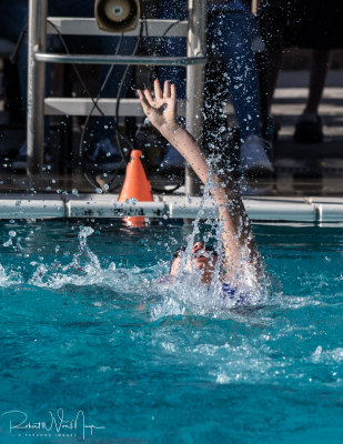 2018203-Sahuarita Swim Meet-0211.jpg