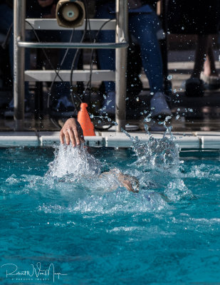 2018203-Sahuarita Swim Meet-0214.jpg