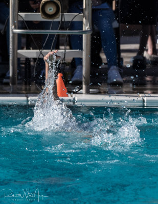 2018203-Sahuarita Swim Meet-0215.jpg