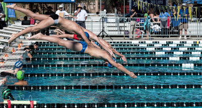 2018203-Sahuarita Swim Meet-0905.jpg