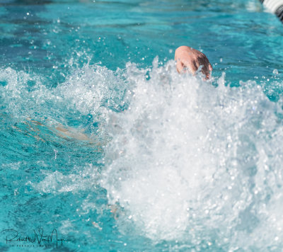 2018203-Sahuarita Swim Meet-0509.jpg