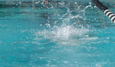 2018203-Sahuarita Swim Meet-0868.jpg