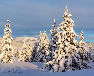 Quadrant Mountain