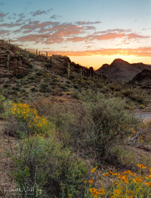 Gates Pass Sunrise