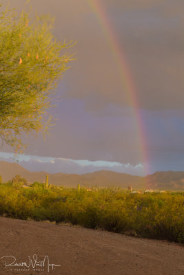 Monsoon Rainbow 1