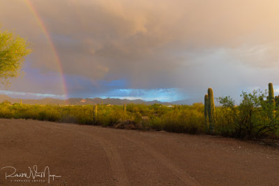 Monsoon Rainbow 2