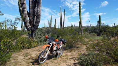 Baja Mexico - Riding thru Cactus
