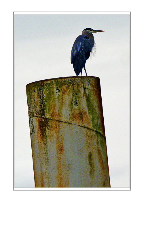 DSC_6383.jpg
