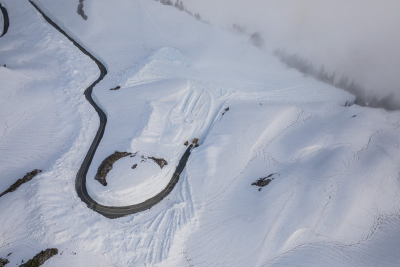 SR542_062017_120-1.jpg