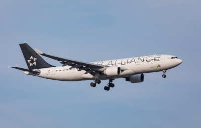 TAP's A-330 in Star Alliance livery