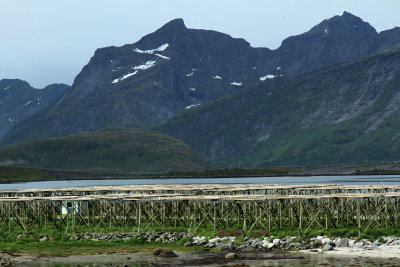 Fish drying racks in Lofotens