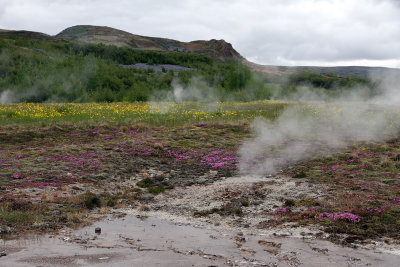 2nd major stop of Golden Circle is the area known as Geysir.  (First went way out of way due to Ruth's navigation hiccup.)